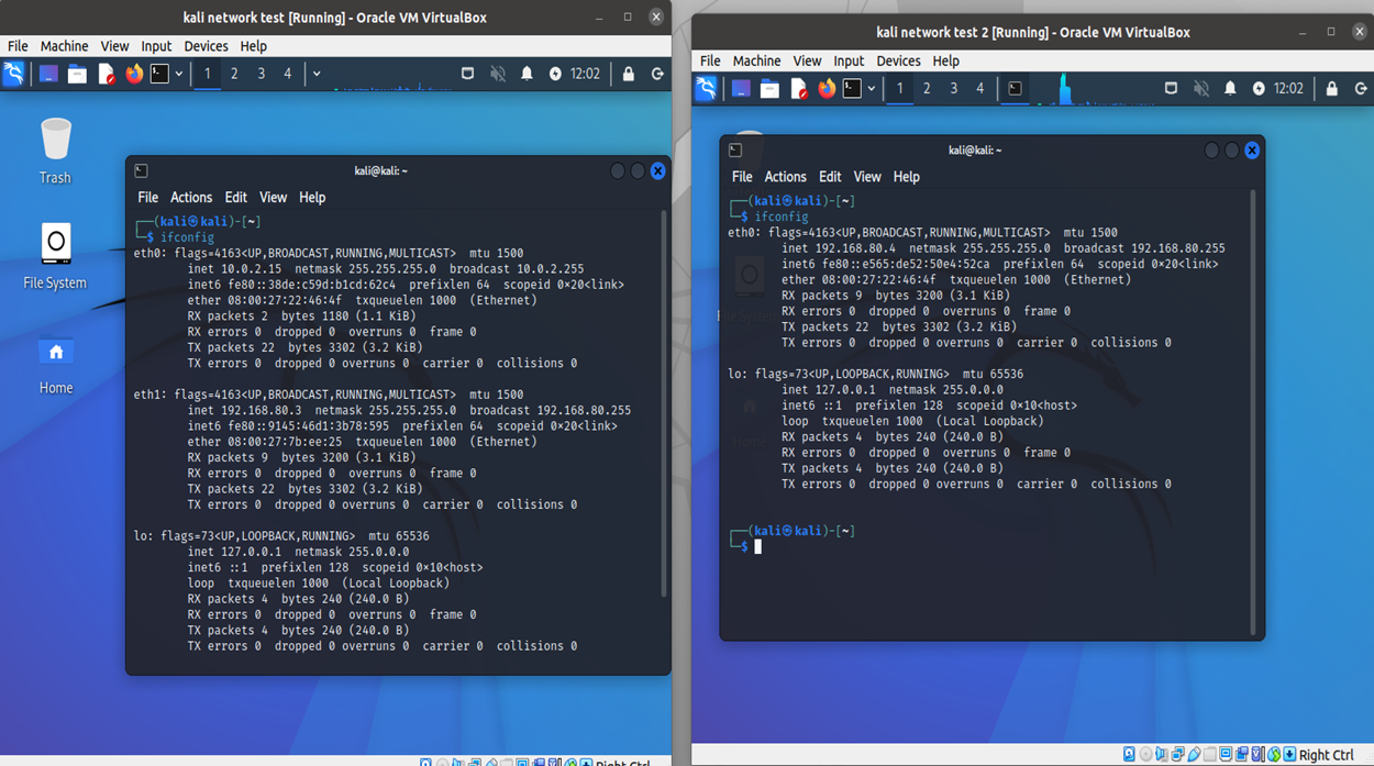 Showcases the IP addresses of the virtual machines
