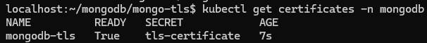 Showcases the MongoDB certificate being successfully issued