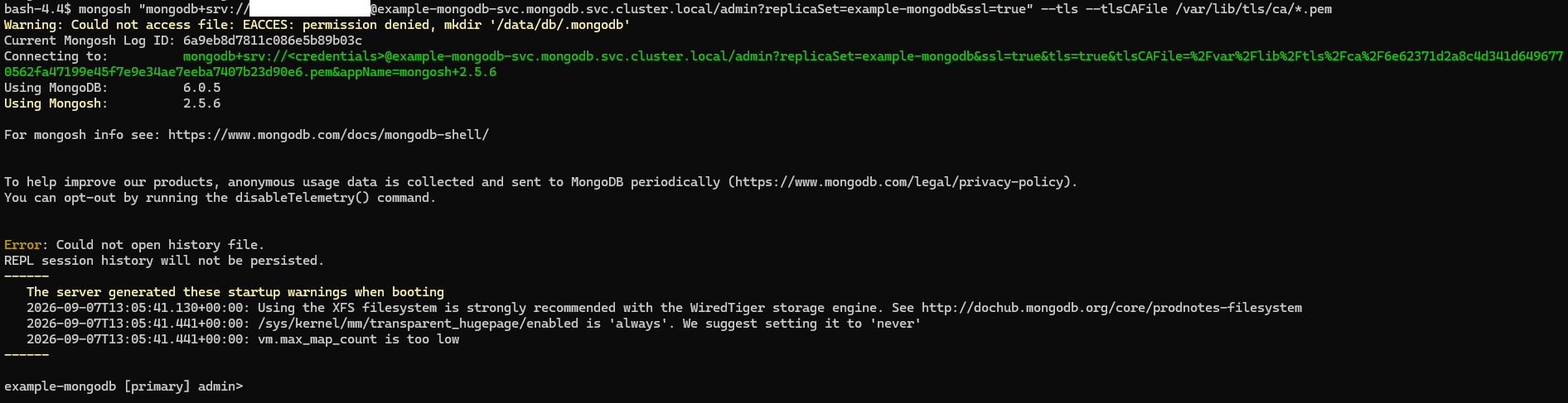 Showcases MongoDB successfully being connected to using TLS